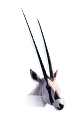 Oryx, the inspiration behind the Acadoryx name