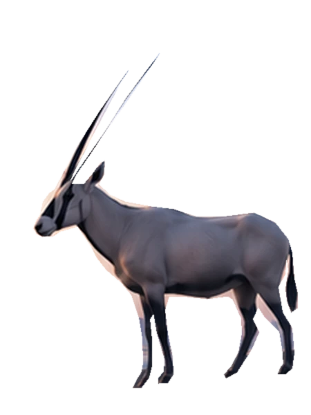 An oryx with its distinctive long horns
